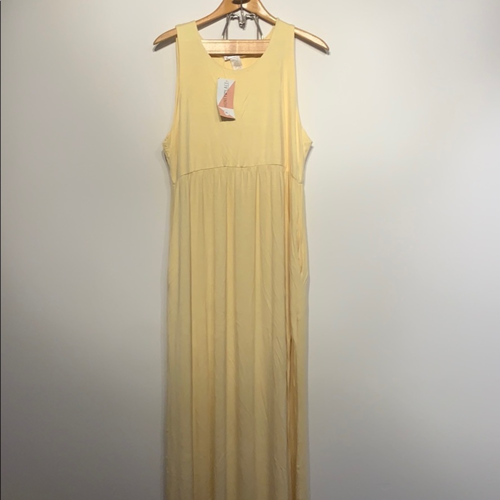 Honey & Lace 3X maxi dress